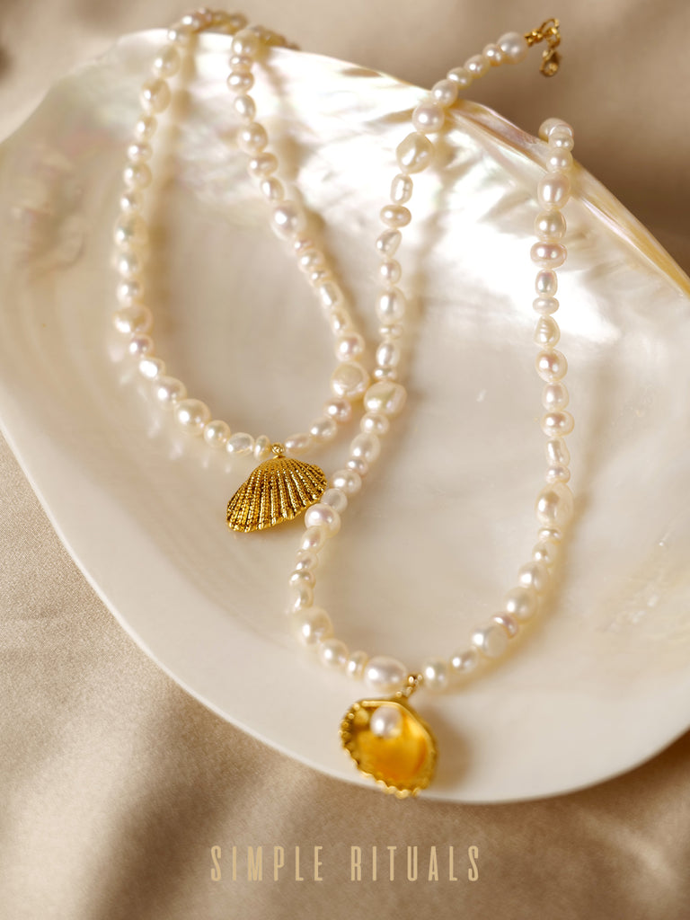 23SS [ Venus born ] Seashell design studs earrings